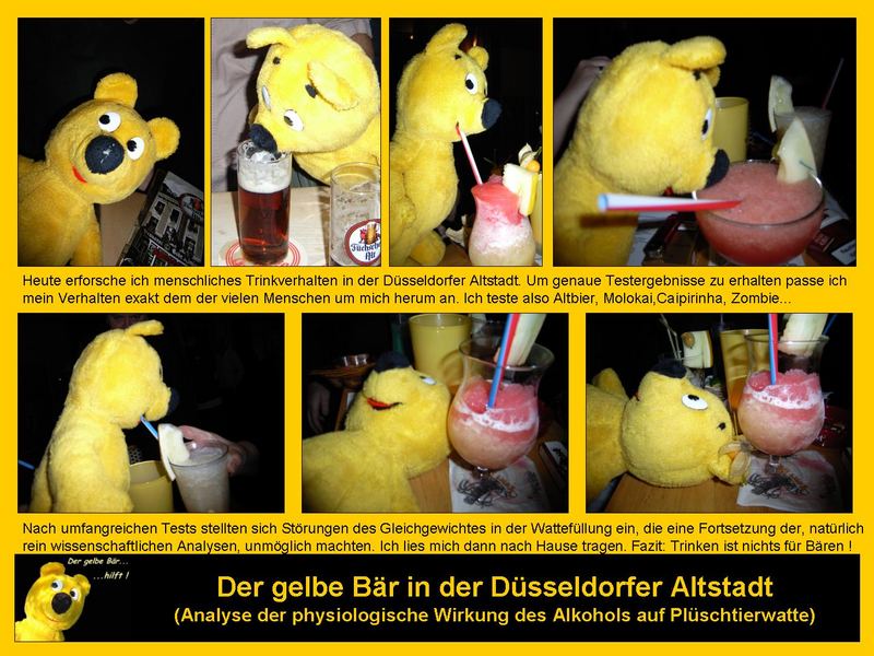 Der gelbe Bär hilft...in der Düsseldorfer Altstadt