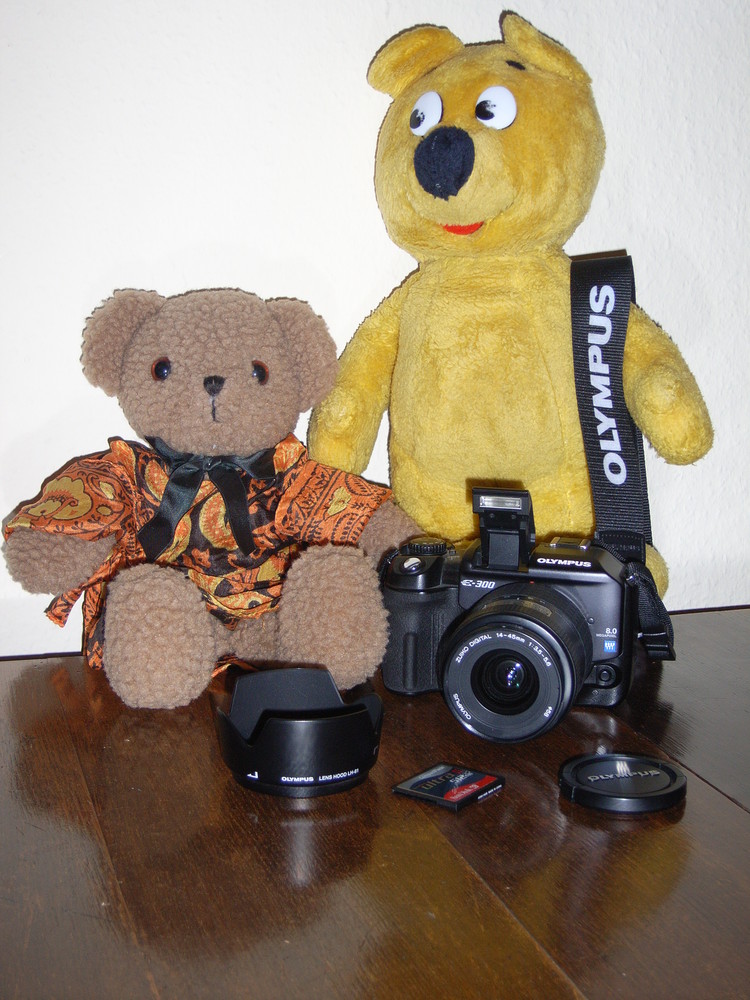 Der gelbe Bär hinter der Kamera