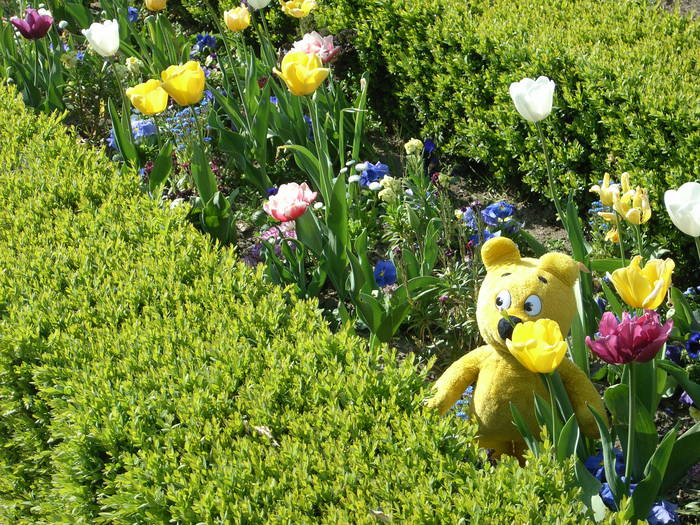 Der gelbe Bär im Benrather Schloss-Garten