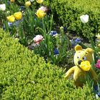 Der gelbe Bär im Benrather Schloss-Garten