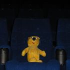 Der gelbe Bär im Kino