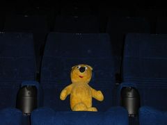 Der gelbe Bär im Kino