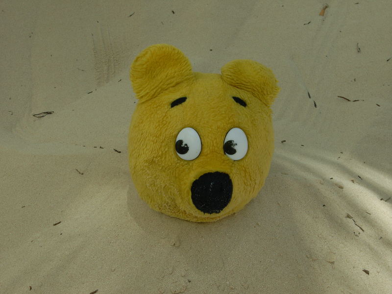 Der gelbe Bär im Sand verbuddelt