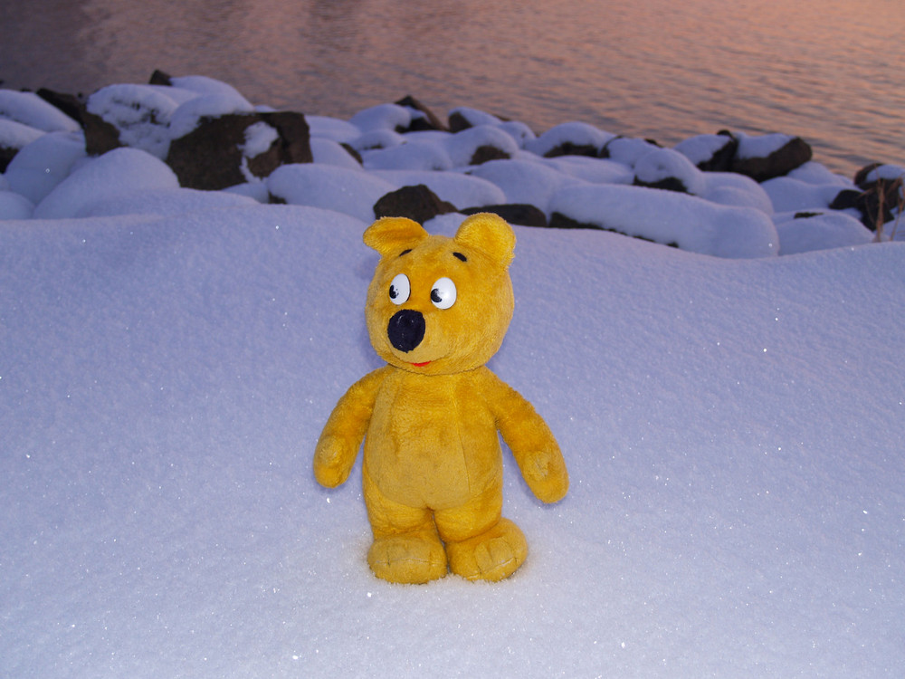 Der gelbe Bär im Schnee bei Sonnenuntergang