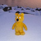 Der gelbe Bär im Schnee bei Sonnenuntergang