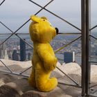 Der gelbe Bär in New York - Empire State Building