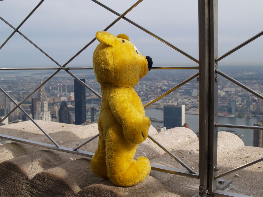 Der gelbe Bär in New York - Empire State Building