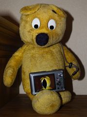 Der gelbe Bär ist traurig - Seine Kamera wurde überfahren !!!
