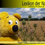 Der gelbe Bär Naturlexikon