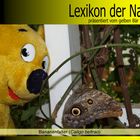 Der gelbe Bär Naturlexikon - Bananenfalter