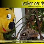 Der gelbe Bär Naturlexikon - Bananenfalter