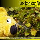 Der gelbe Bär Naturlexikon - Herbst Mosaikjungfer