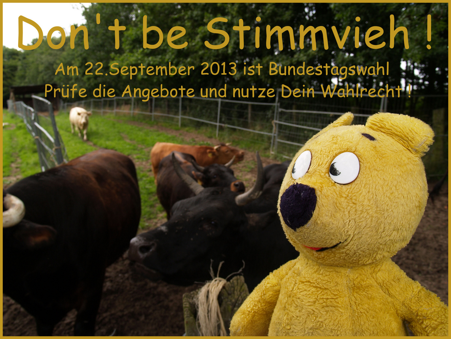 Der gelbe Bär sagt "Don't be Stimmvieh !"