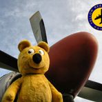 Der gelbe Bär und seine Flug-Gesellschaft