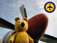 Der gelbe Bär und seine Flug-Gesellschaft