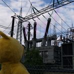 Der gelbe Bär warnt - heute kann es Gewitter geben