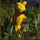 Der gelbe Bär wünscht Frohe Ostern