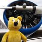 Der gelbe Bär zu Besuch bei "Tante JU"