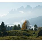 Der gelbe Baum - Dolomiten