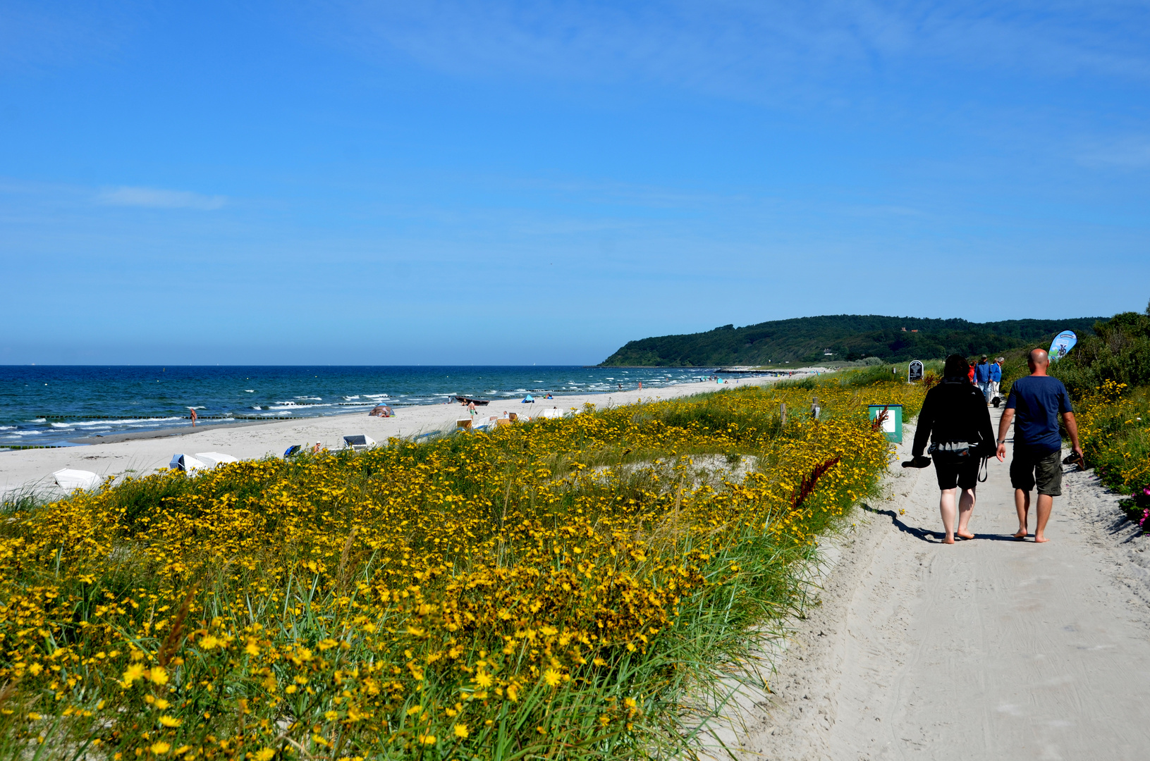 Der Gelbe Deich auf Hiddensee 