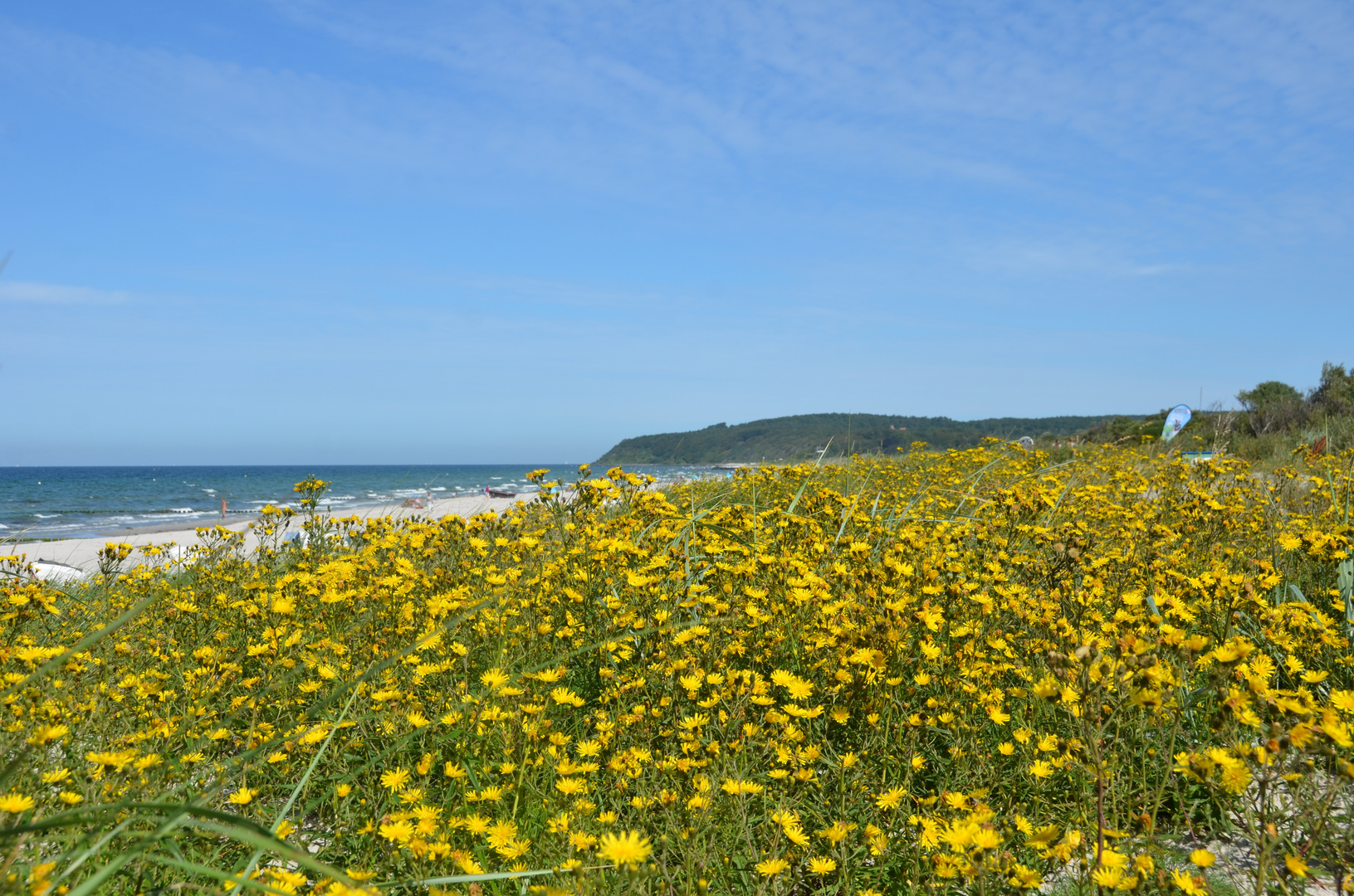 Der Gelbe Deich auf Hiddensee 