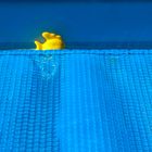 Der gelbe Fisch