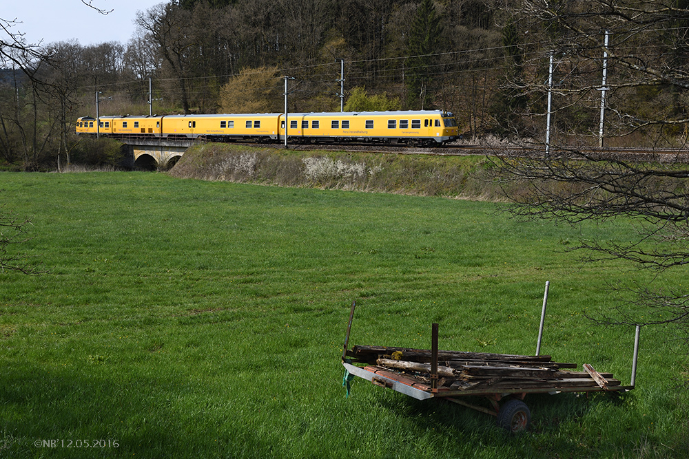 Der Gelbe im Grünen