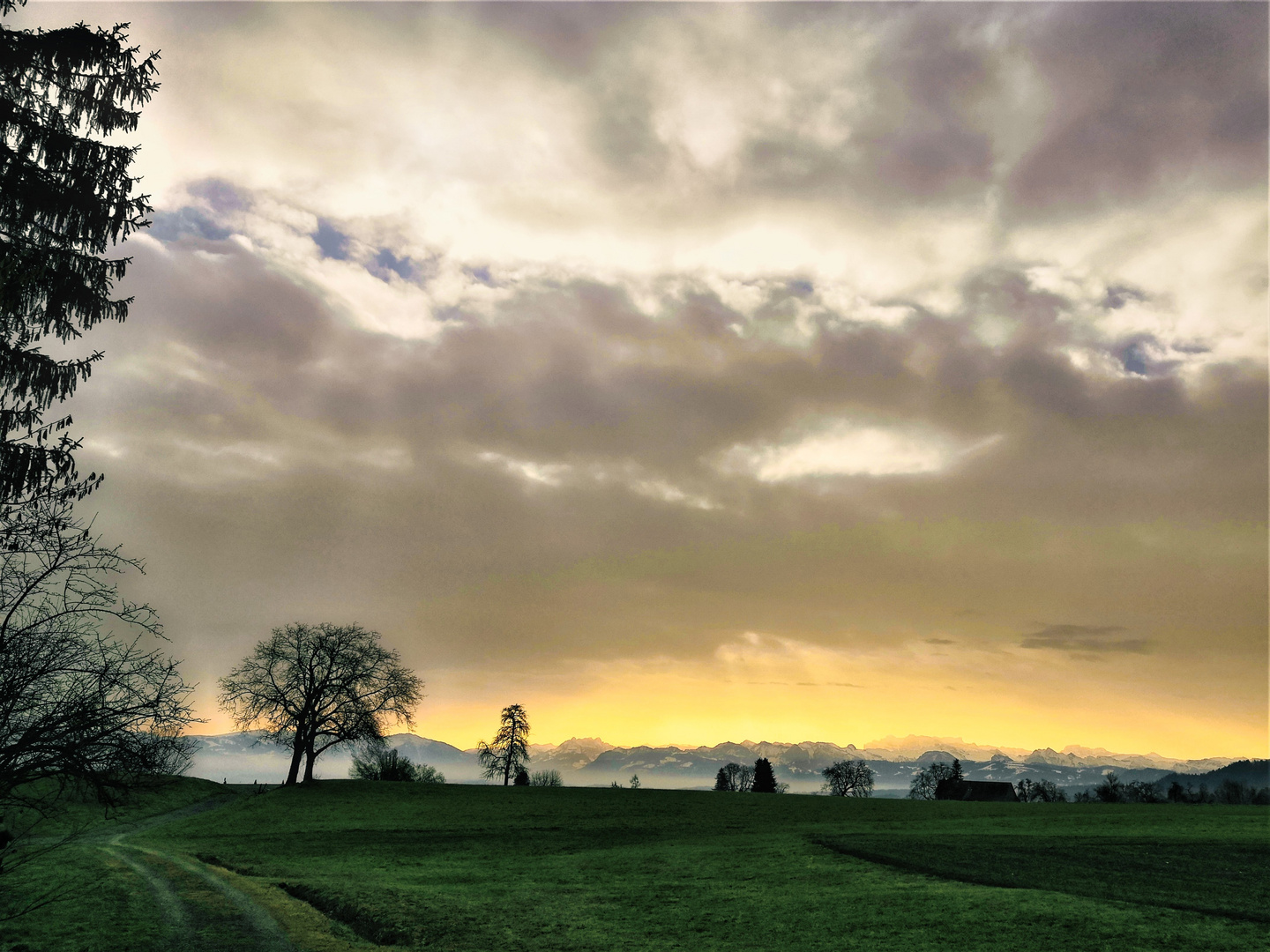 Der gelbe Morgenhimmel gegen die Glarner Alpen