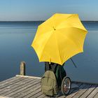 Der gelbe Schirm