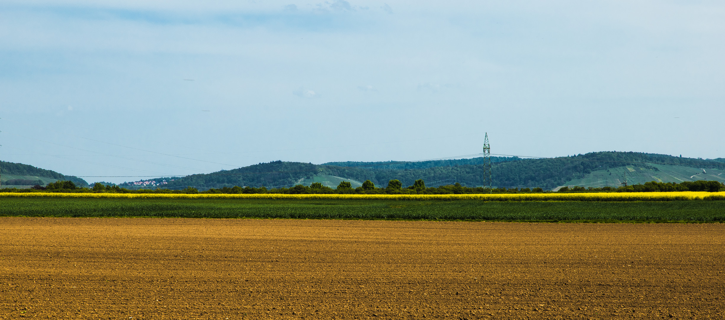 Der gelbe Streifen