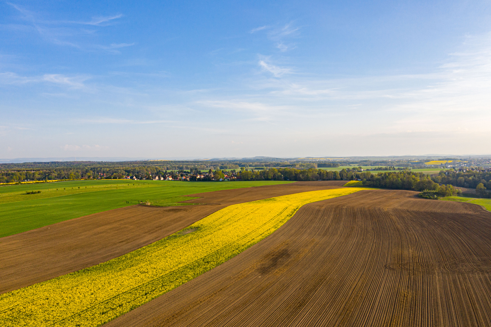 der gelbe Teppich