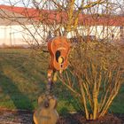 der gemeine Gitarrenbaum