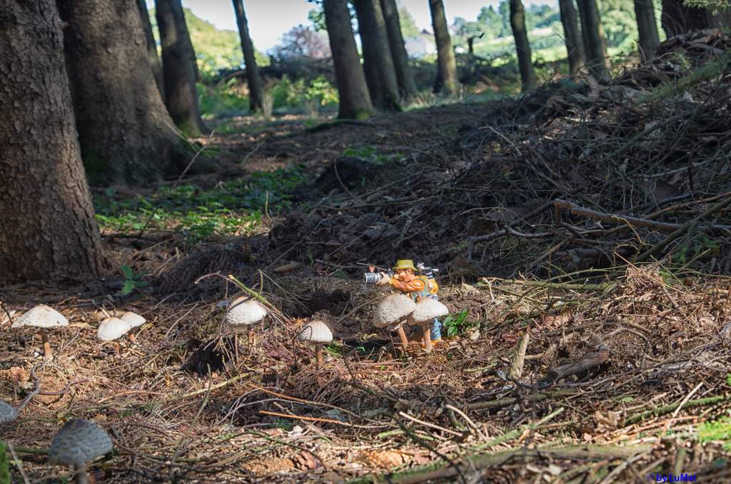 Der gemeine Naturfotograf