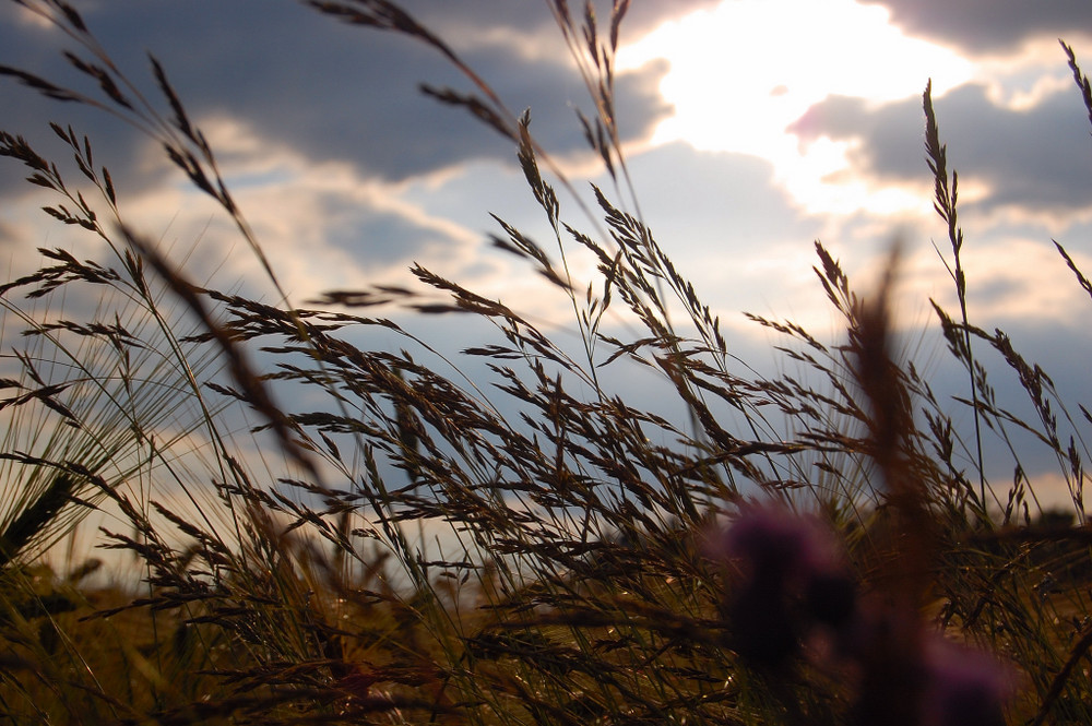 Der Genuss des Sonnenuntergangs