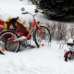 Der geplante Familienausflug fällt ins Wasser (in den Schnee)