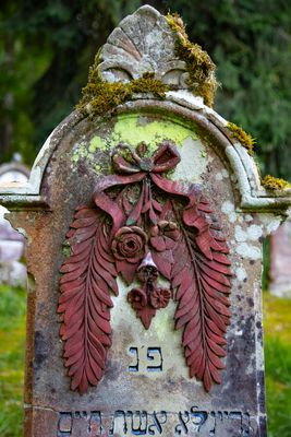 Der Gerechte wird blühen wie ein Palmenbaum