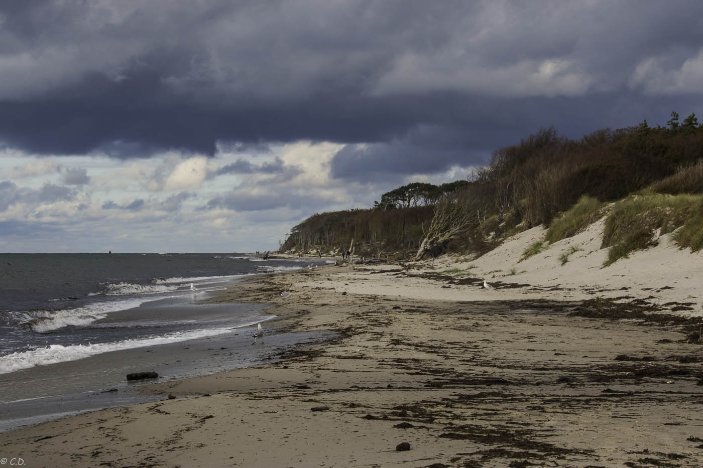 Der gern besuchte Weststrand