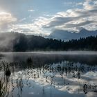 Der Geroldsee am frühen Morgen (2)
