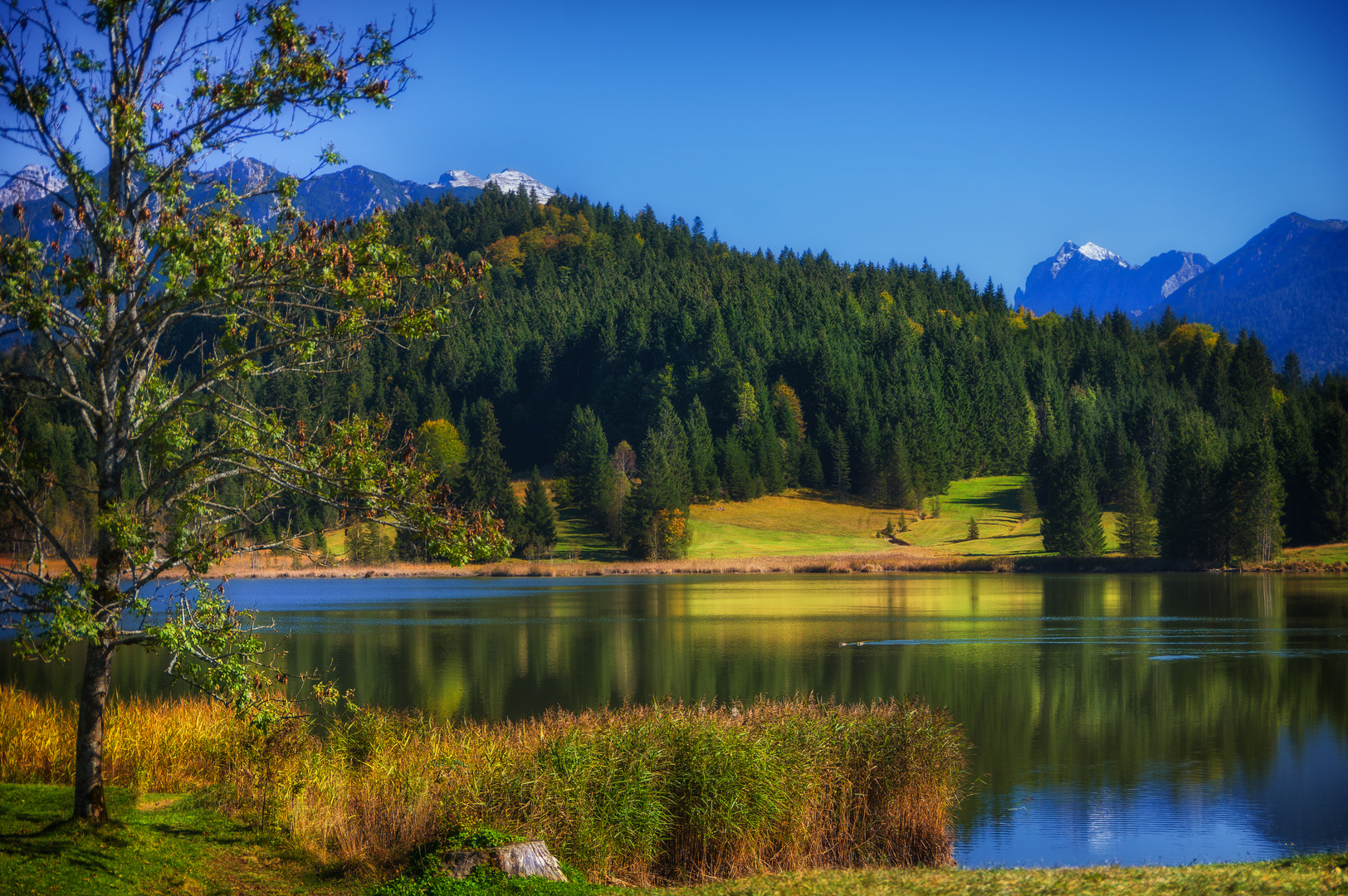 ....der Geroldsee im Herbst...