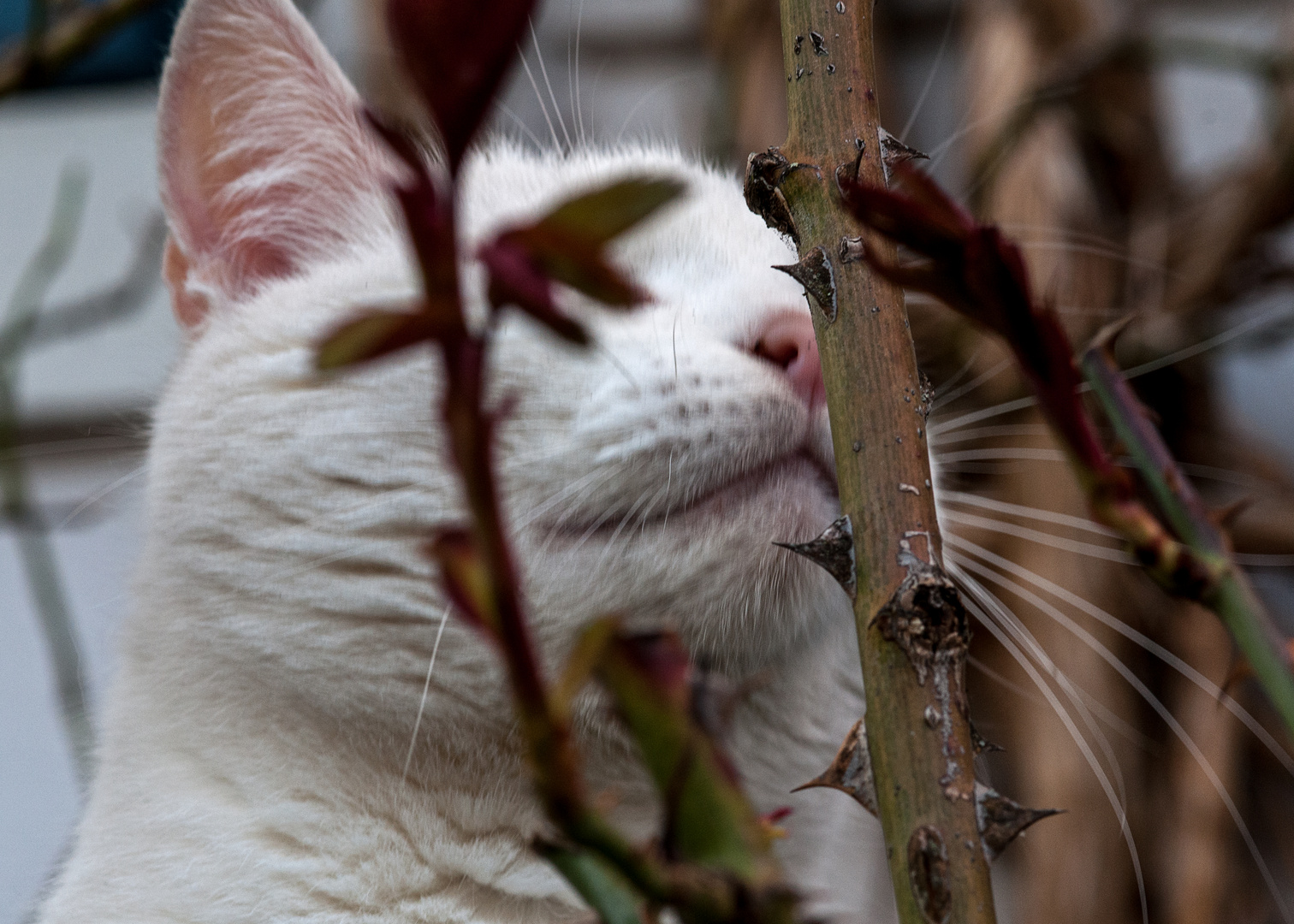 Der Geruch von Frühling