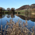 Der Gerzensee