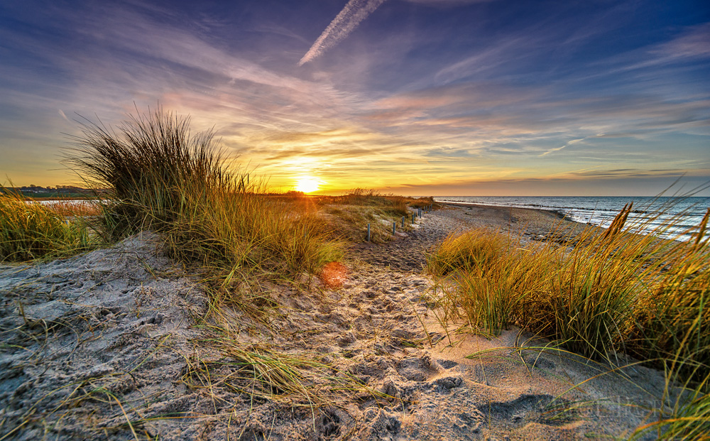 Der Gesang des Windes