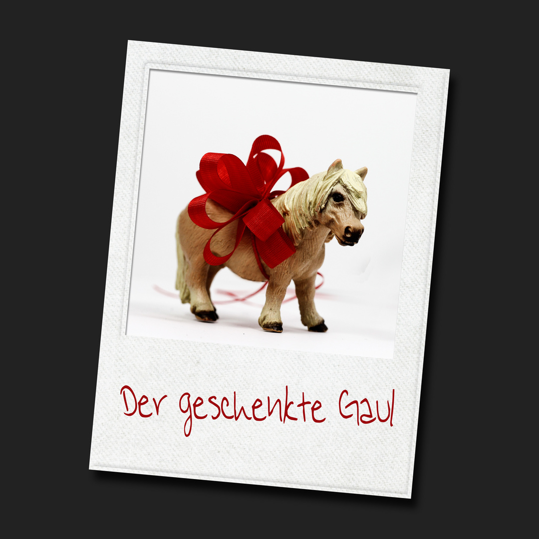 Der geschenkte Gaul ...