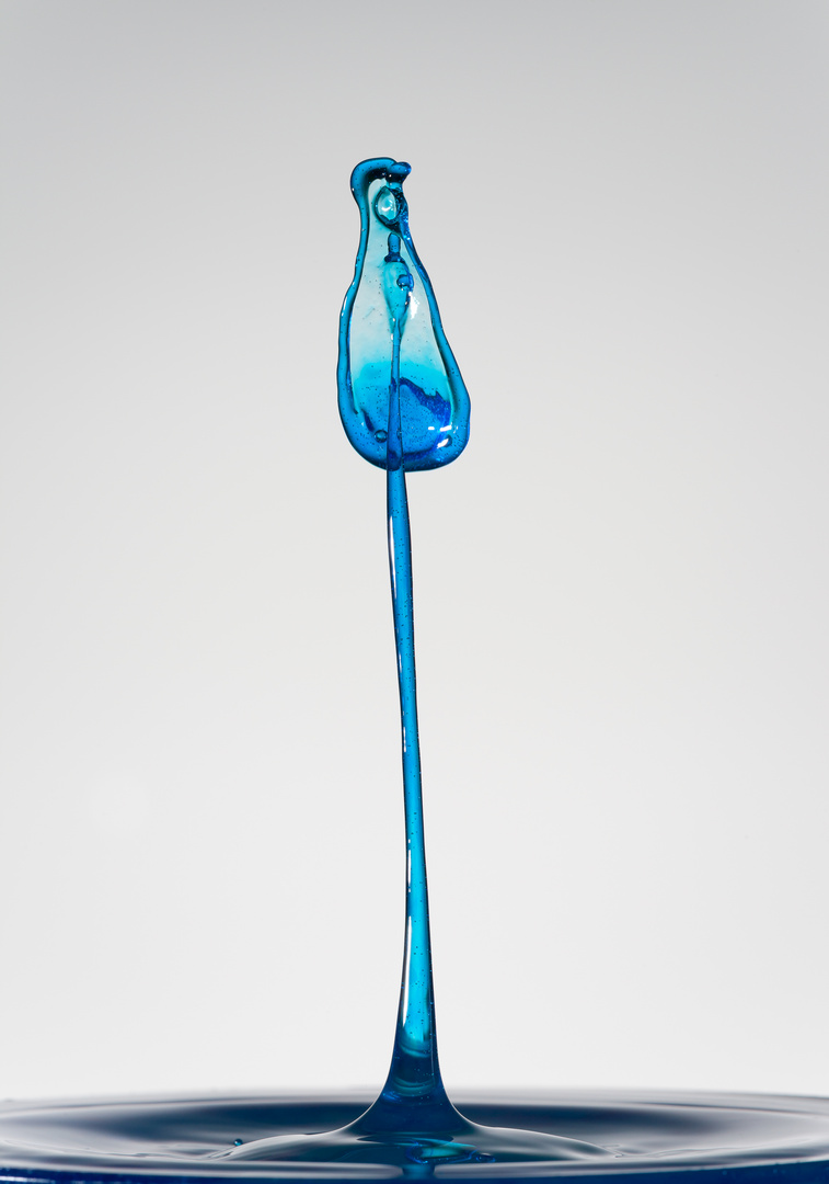 Der geschlossene Schirm Foto & Bild | experimente, wasser, tropfen