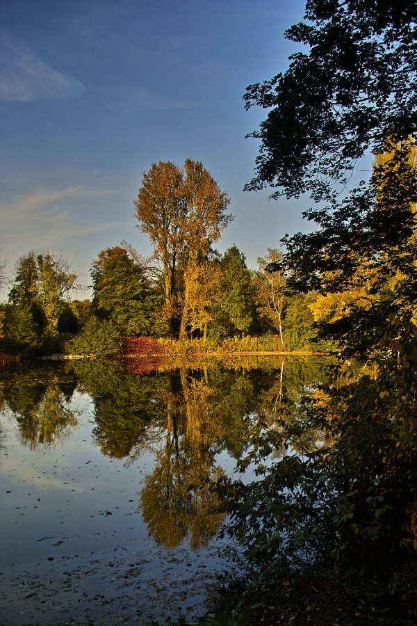 der gespiegelte Herbst