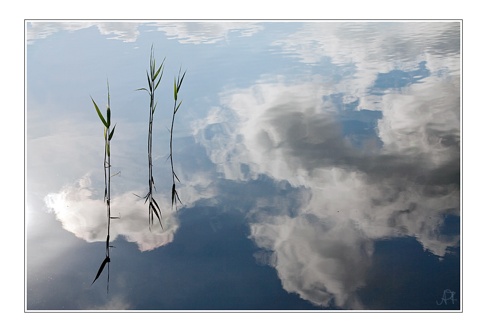 der gespiegelte HImmel