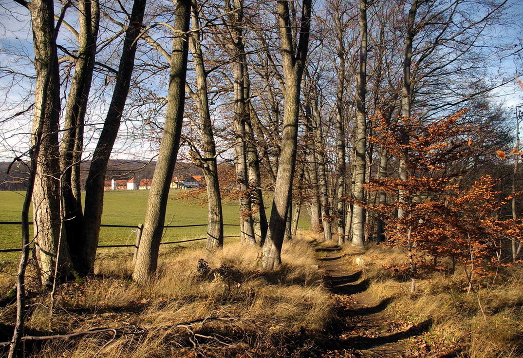 Der Gestütsrundweg (s. Thumb)