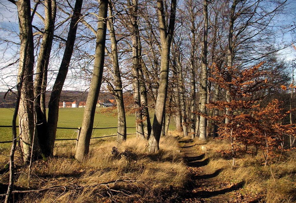 Der Gestütsrundweg (s. Thumb)