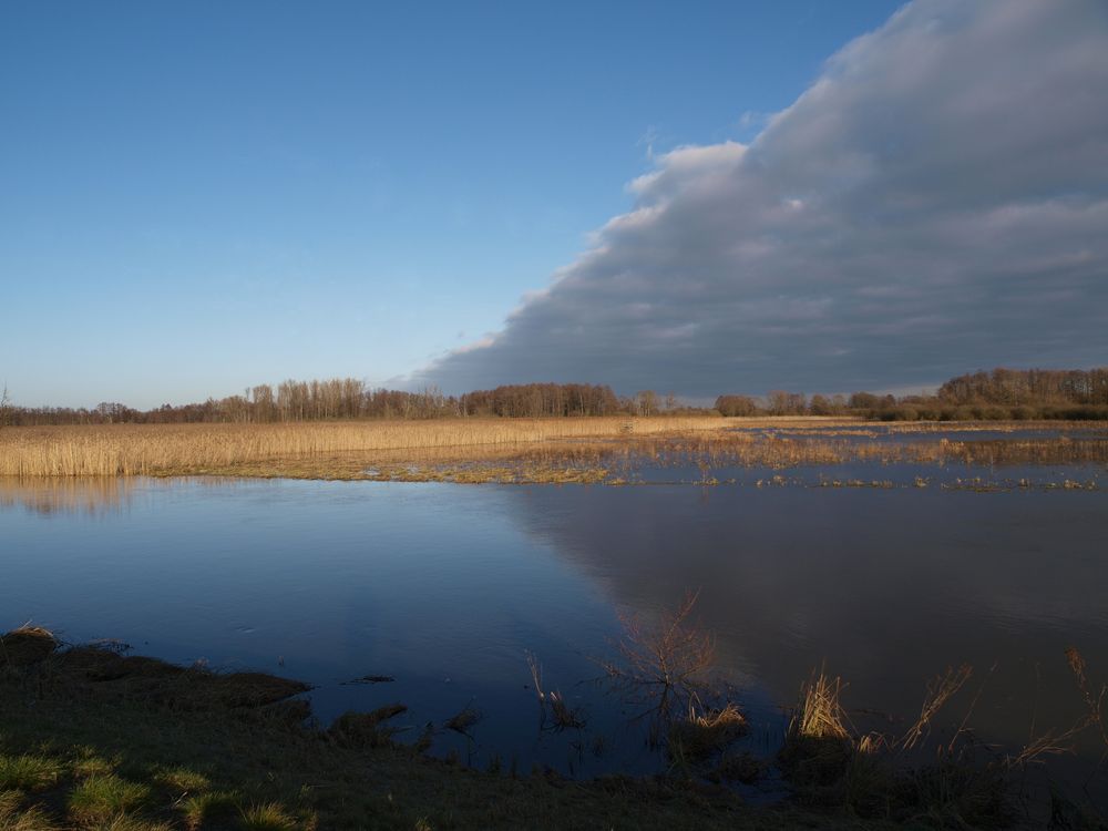 Der Geteilte Himmel