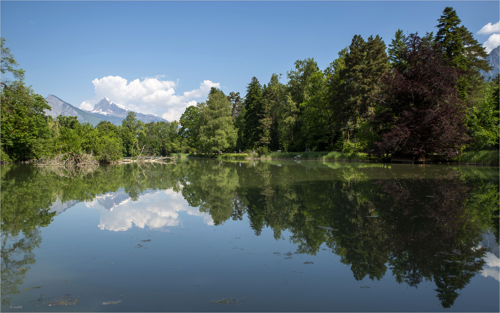 Der Giessensee...